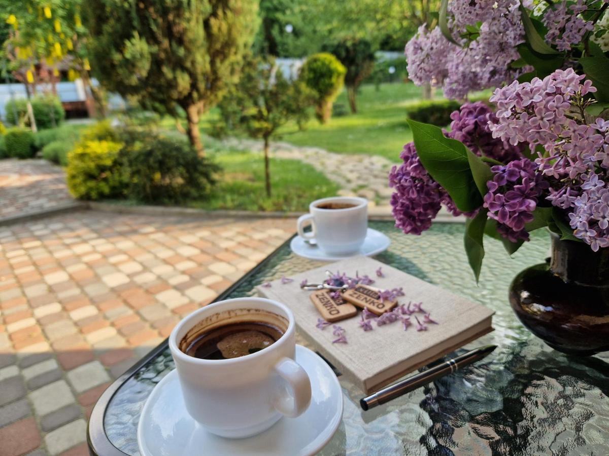 Villa Zenko بريوكوفيتشي المظهر الخارجي الصورة