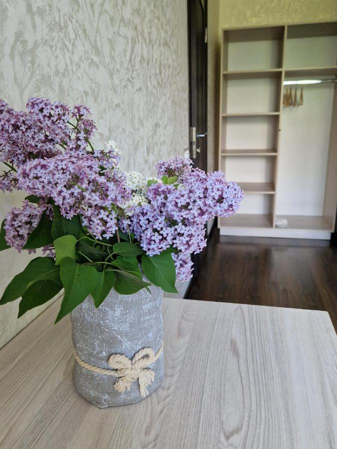 Villa Zenko بريوكوفيتشي المظهر الخارجي الصورة