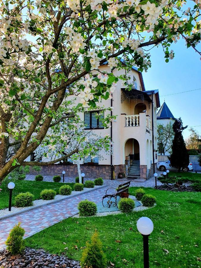 Villa Zenko بريوكوفيتشي المظهر الخارجي الصورة