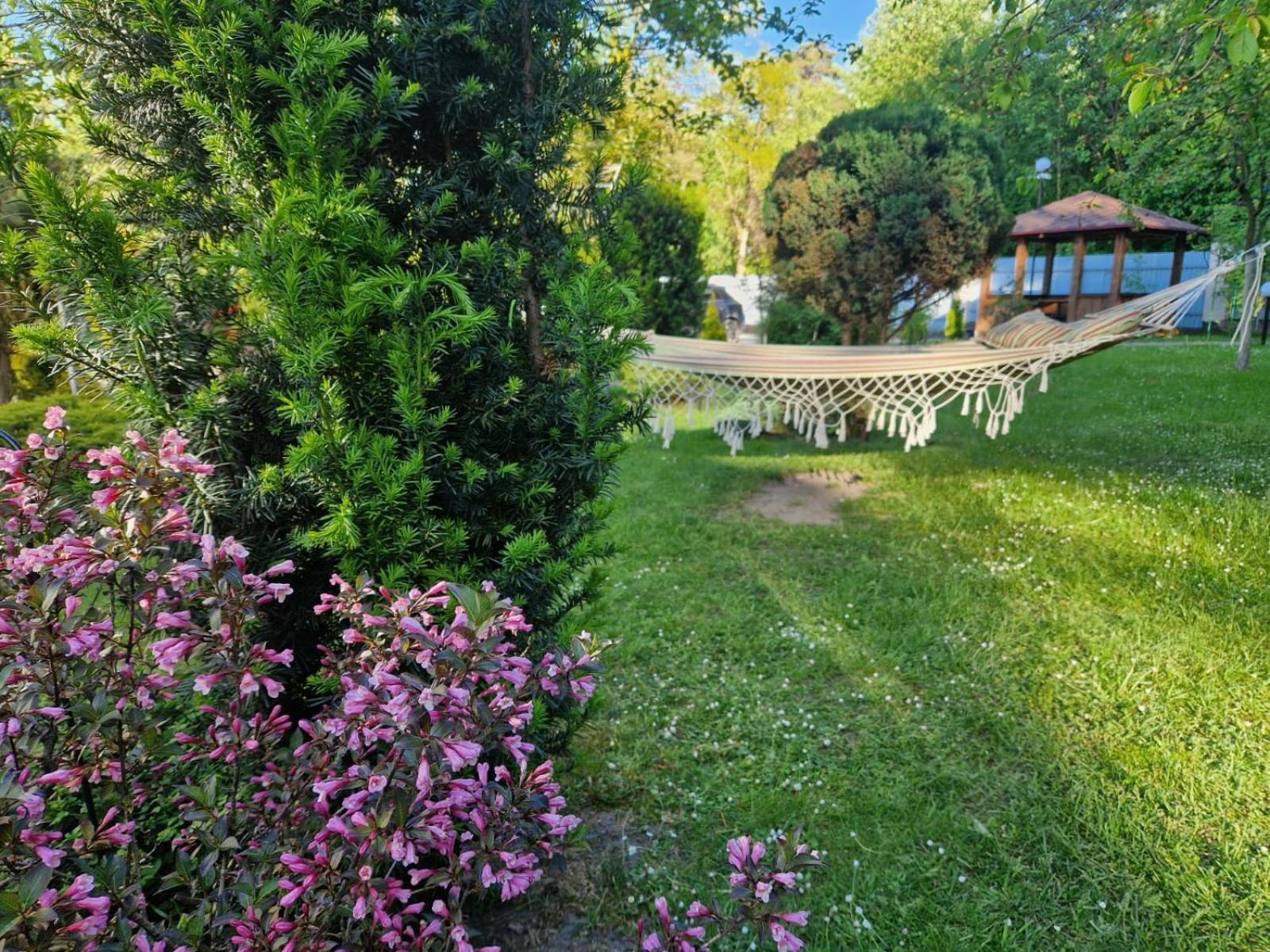 Villa Zenko بريوكوفيتشي المظهر الخارجي الصورة